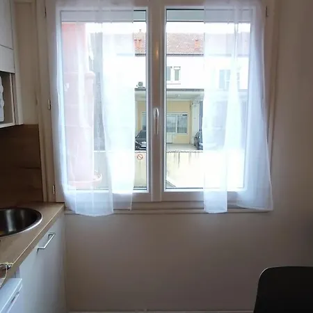 公寓 Studio-heart Of Town-bd Des Pyrenees-quiet 波城