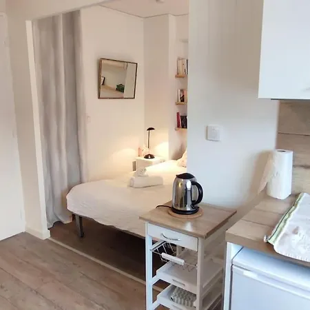 Studio-heart Of Town-bd Des Pyrenees-quiet 公寓 *