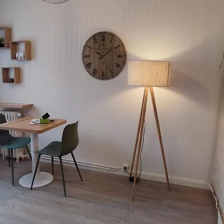 公寓 Studio-heart Of Town-bd Des Pyrenees-quiet *