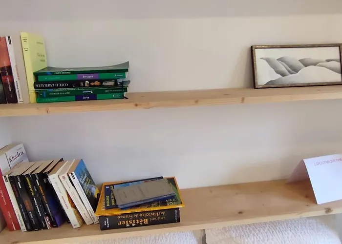 Studio-heart Of Town-bd Des Pyrenees-quiet Apartament