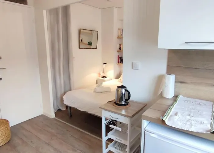 Studio-heart Of Town-bd Des Pyrenees-quiet Apartament *